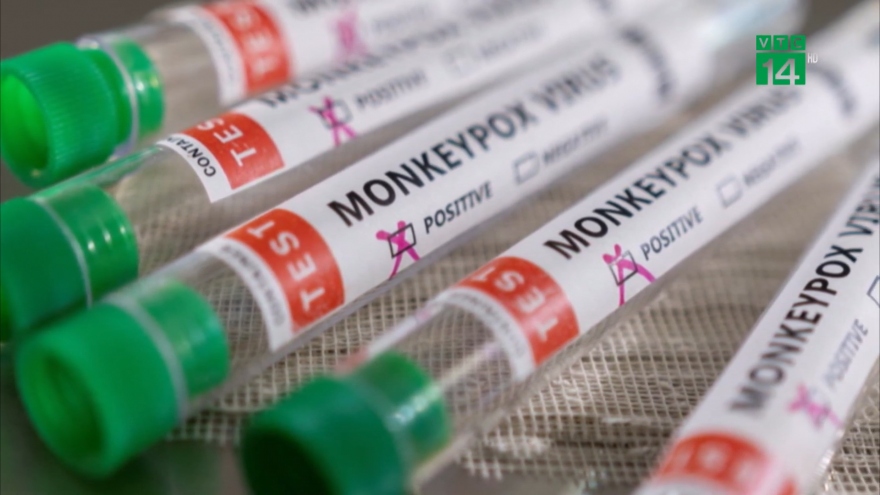 Việt Nam sẽ nghiên cứu sản xuất thuốc điều trị bệnh đậu mùa khỉ